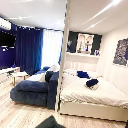 T1bis Centre Toulouse