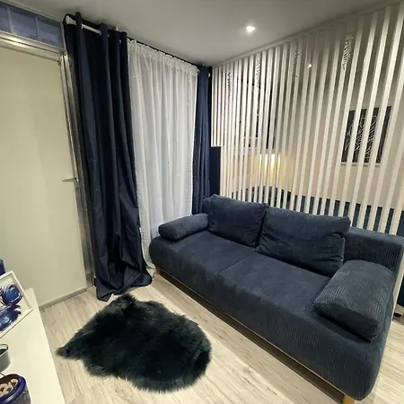 T1bis Centre Toulouse