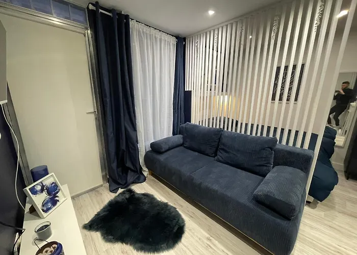 T1bis Centre Toulouse