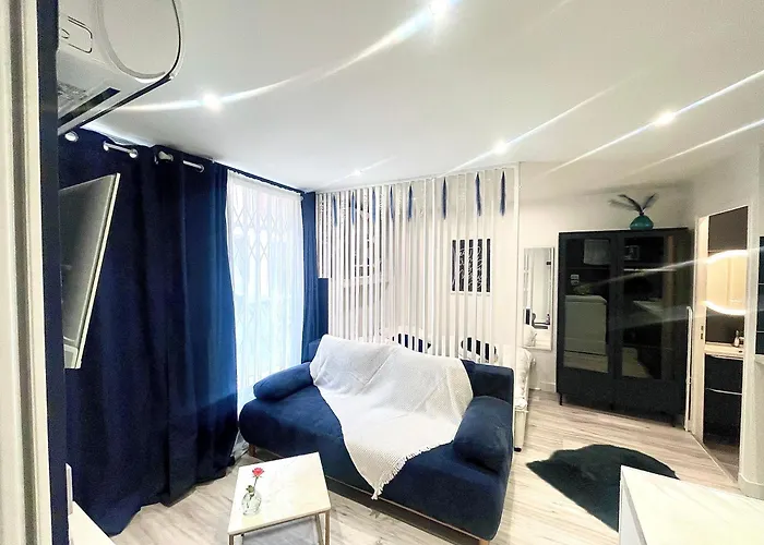 T1bis Centre * Toulouse