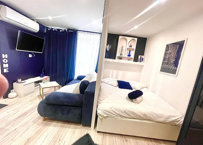 T1bis Centre Toulouse